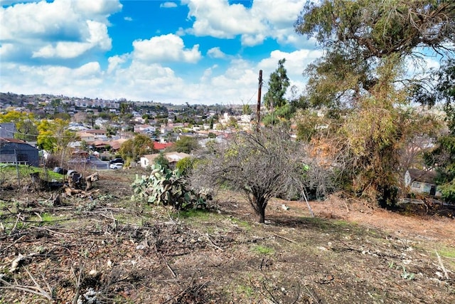 view of local wilderness