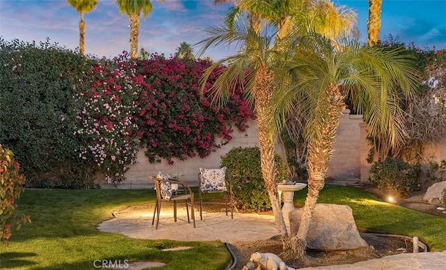 view of yard featuring a patio area