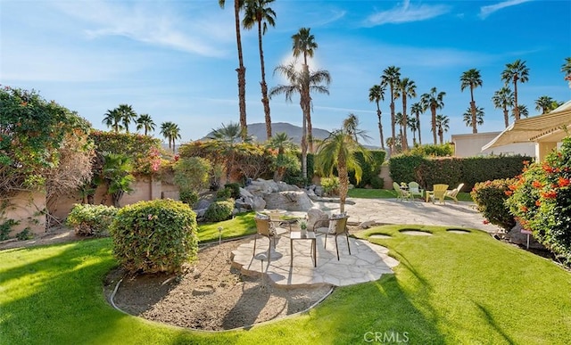 view of yard featuring a patio, a fenced backyard, and a mountain view