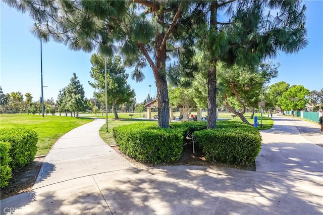 view of property's community with a lawn