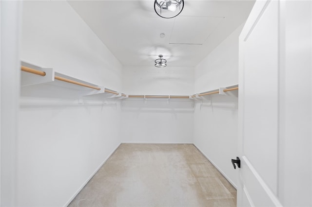 spacious closet with light colored carpet