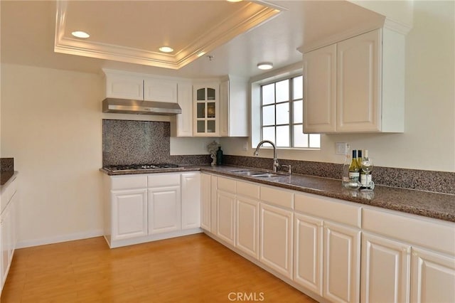 32 Diamond St Unit D, Arcadia, CA 91006 - kitchen with under cabinet range hood, a tray ceiling, light wood-type flooring, white cabinets, and dark stone countertops
