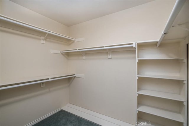 walk in closet featuring dark colored carpet