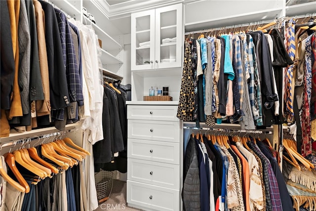 view of walk in closet