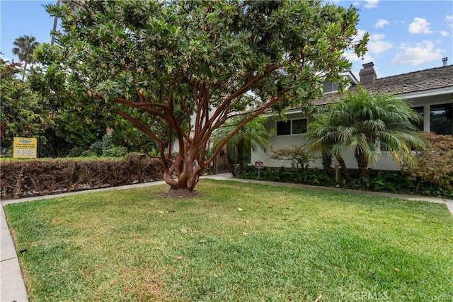 view of front of house featuring a front yard