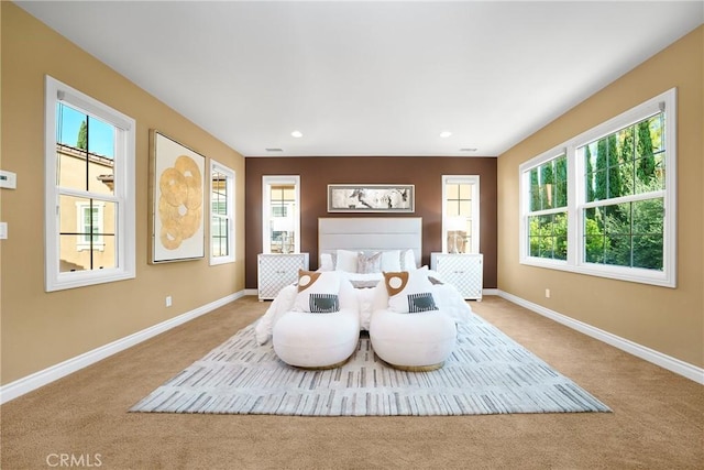 bedroom with light carpet