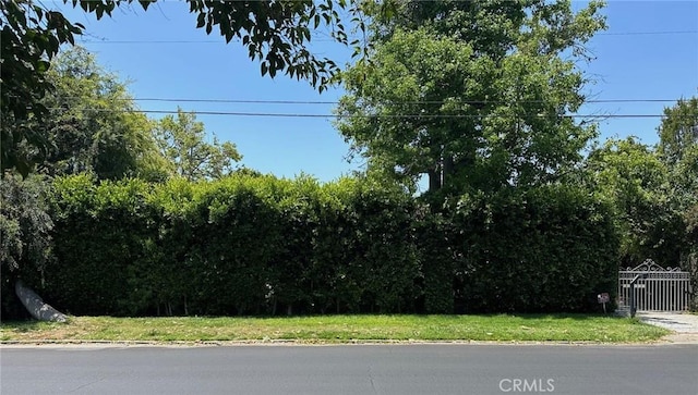 4645 Ledge Ave, Toluca Lake, CA 91602 - view of yard