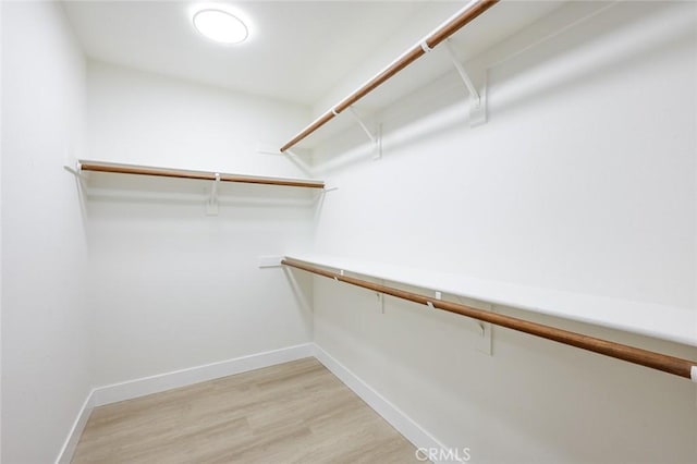 spacious closet featuring light hardwood / wood-style flooring