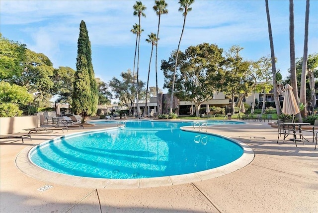 view of swimming pool with a patio