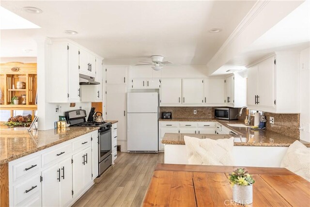 188 S Finch Dr, Big Bear Lake, CA 92315 - kitchen featuring stainless steel appliances, a sink, under cabinet range hood, a ceiling fan, and light stone counters