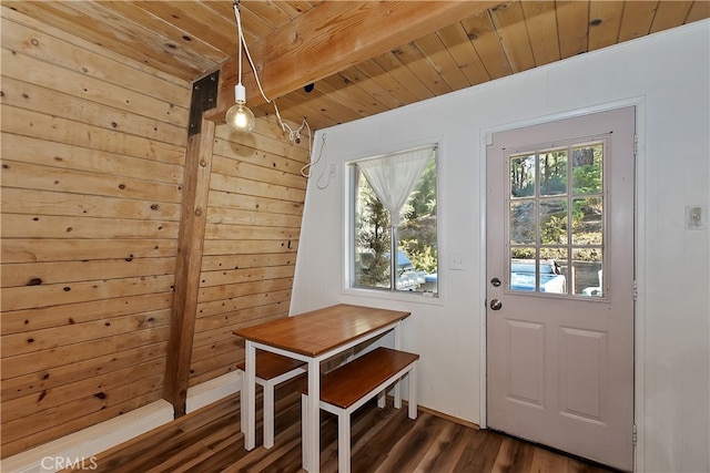 doorway to outside featuring wooden ceiling, dark hardwood / wood-style flooring, and a healthy amount of sunlight