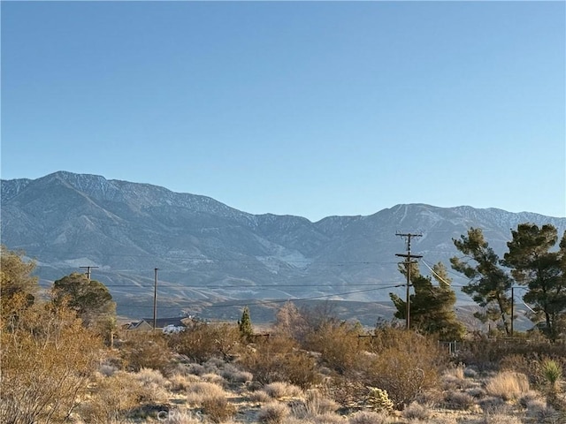 Listing photo 3 for 0 Sutter Rd, Lucerne Valley CA 92356