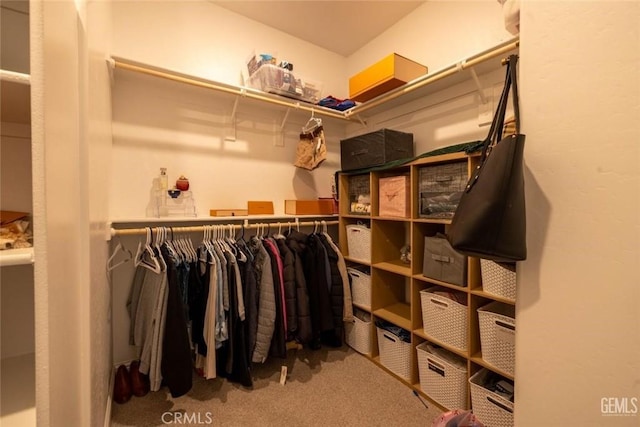 spacious closet featuring carpet floors