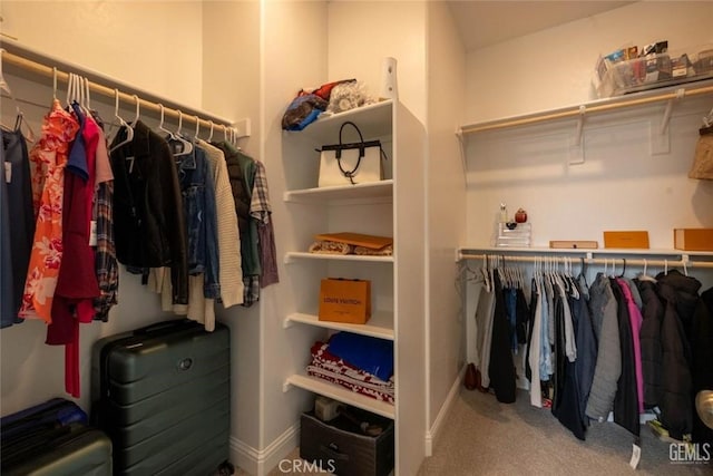 walk in closet with carpet