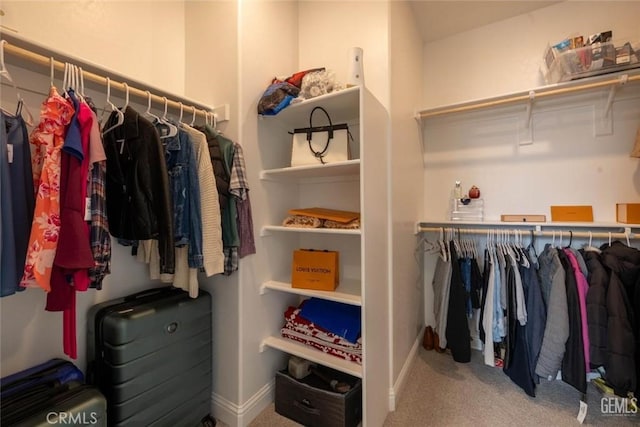 spacious closet featuring carpet