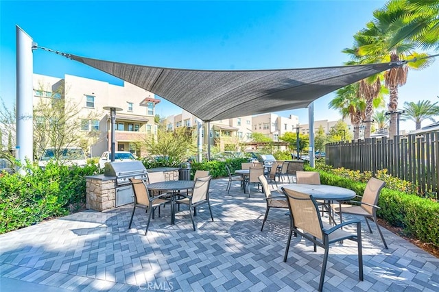 view of patio / terrace with exterior kitchen