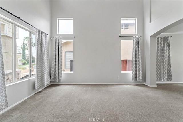 spare room with a high ceiling, a healthy amount of sunlight, and carpet floors