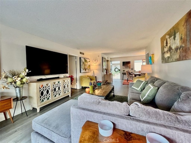 living room with a textured ceiling and hardwood / wood-style floors