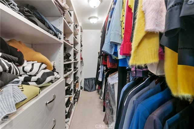 spacious closet with light carpet