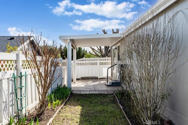 view of yard with a patio area and a fenced backyard