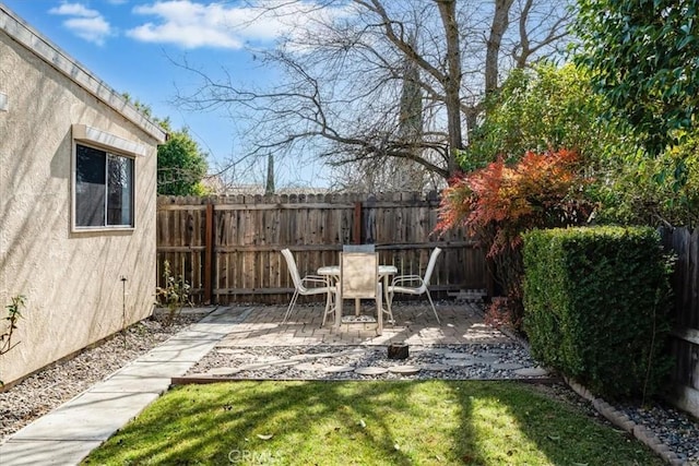 view of yard featuring a patio area