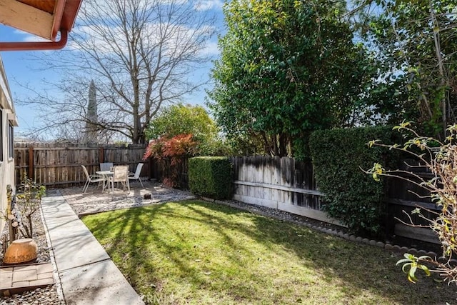 view of yard featuring a patio area