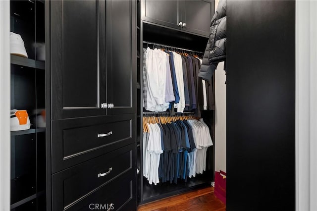 walk in closet featuring dark hardwood / wood-style floors