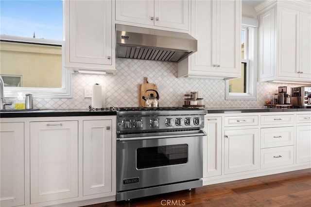 kitchen featuring white cabinetry, ventilation hood, premium range, and tasteful backsplash