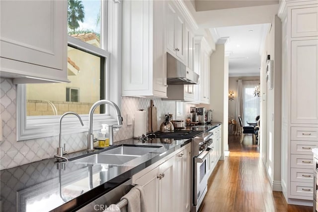 kitchen with light hardwood / wood-style floors, high end stainless steel range, backsplash, sink, and white cabinetry