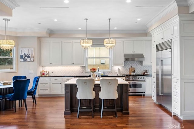 kitchen with hanging light fixtures, white cabinets, a center island, and high quality appliances