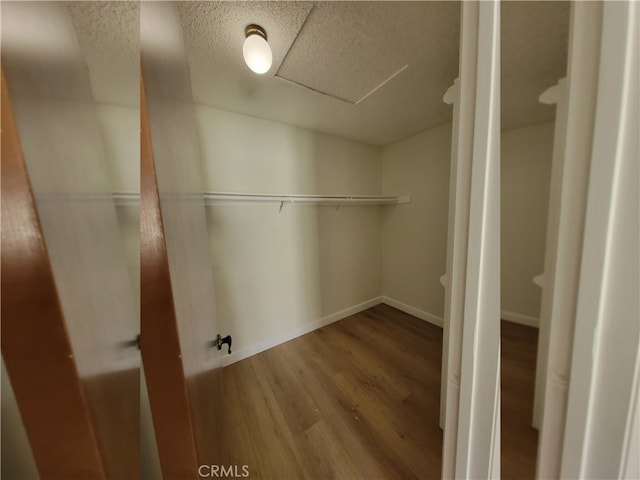 spacious closet featuring wood-type flooring