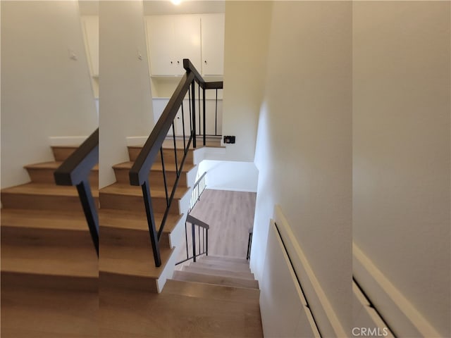 staircase with wood-type flooring