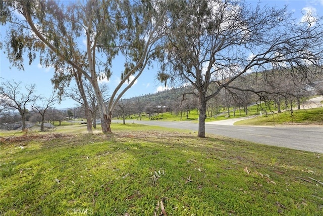 41763 Horseshoe Way, Coarsegold, CA 93614 - photo 33