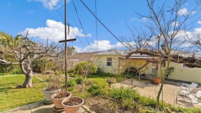 view of yard featuring a patio area