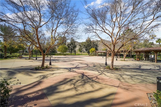 view of street featuring concrete driveway