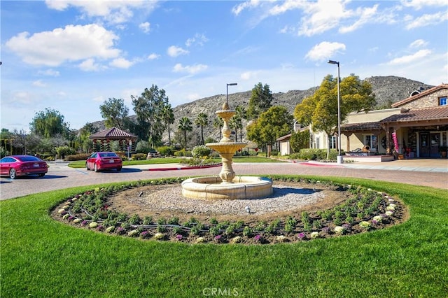 view of property's community featuring a yard and a mountain view