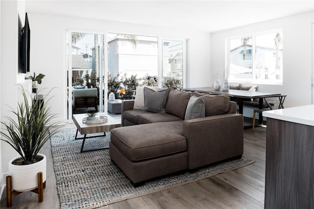 living room with wood-type flooring and a wealth of natural light