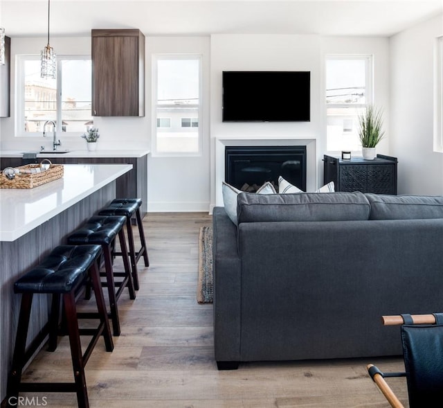 living room featuring light wood-type flooring and sink