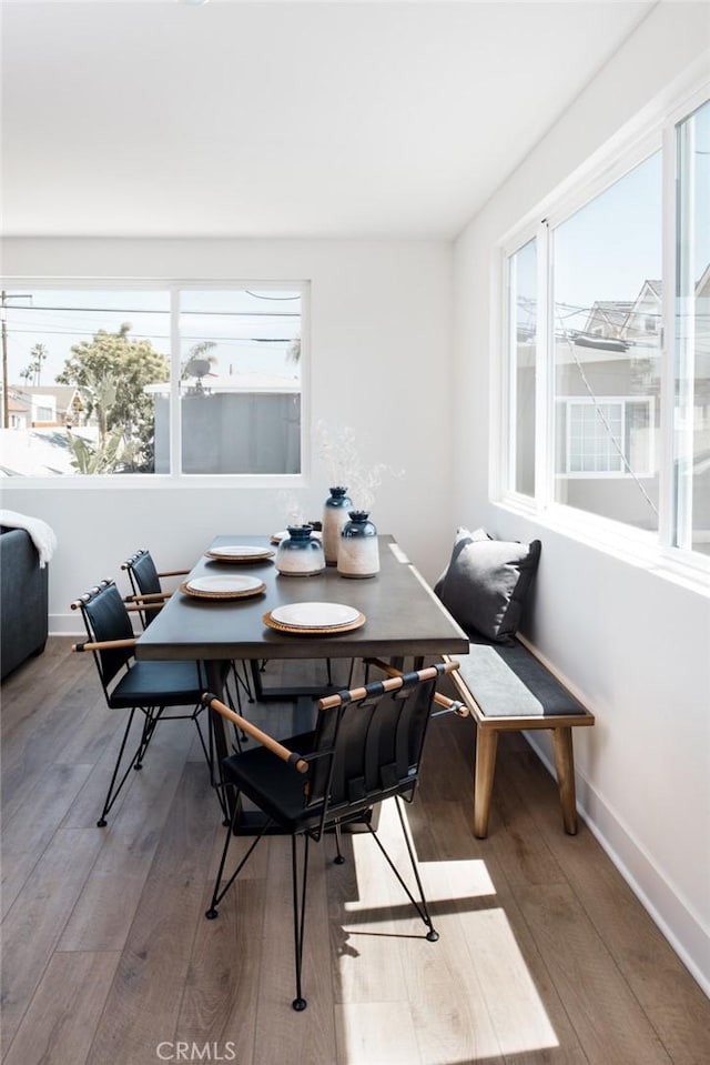 dining room with hardwood / wood-style floors and a wealth of natural light