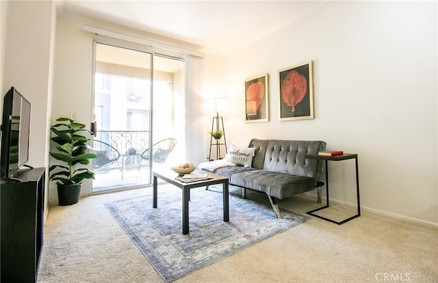 sitting room with baseboards and carpet flooring