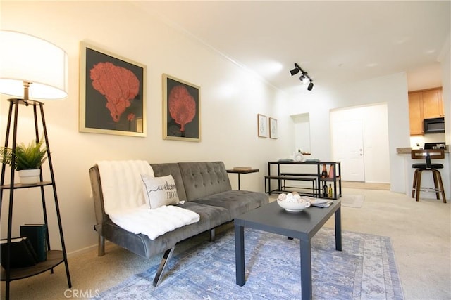 living area featuring ornamental molding, baseboards, light carpet, and track lighting