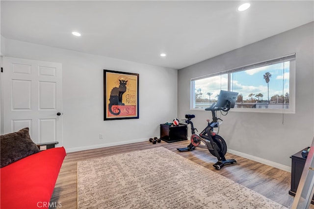 workout area featuring hardwood / wood-style flooring