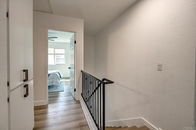 stairway with wood-type flooring