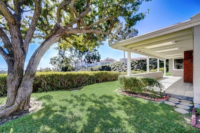 view of yard with a patio