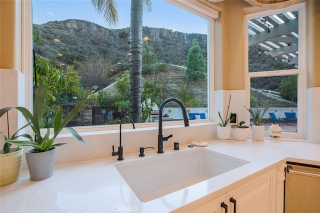 27 Round Up Rd, Bell Canyon, CA 91307 - kitchen with a sink, dishwasher, a mountain view, and light countertops