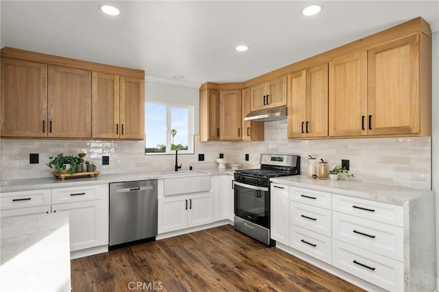 kitchen with appliances with stainless steel finishes, recessed lighting, decorative backsplash, dark wood-type flooring, and under cabinet range hood