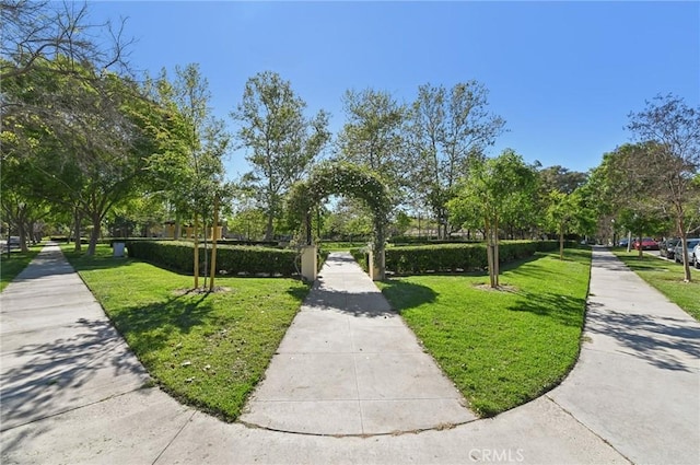 33 Perennial, Irvine, CA 92603 - view of home's community featuring a lawn