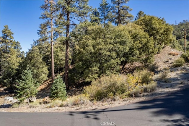 1216 Banff Dr, Pine Mountain Club CA, 93222 land for sale