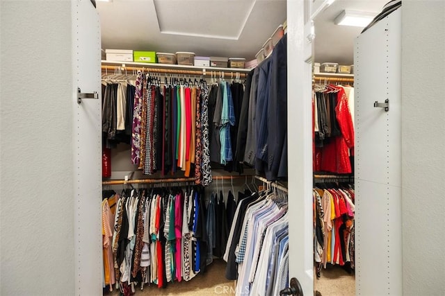 walk in closet with attic access