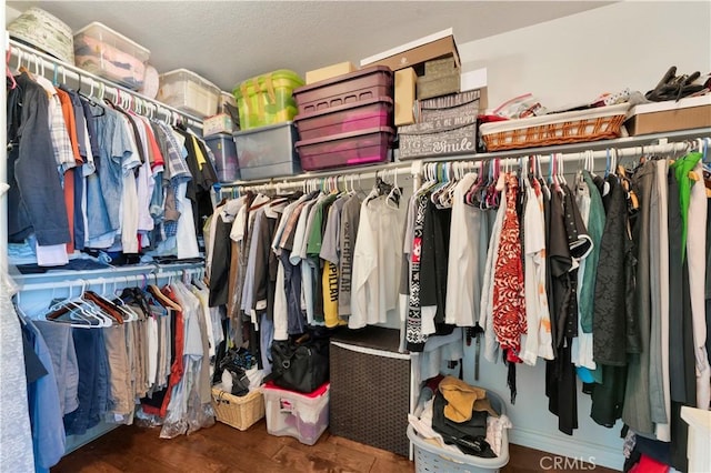 spacious closet with dark wood-type flooring